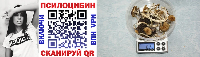 Галлюциногенные грибы MAGIC MUSHROOMS  Купить закладки  Салават 