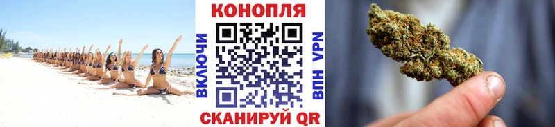 Купить закладки  Салават  Конопля план 
